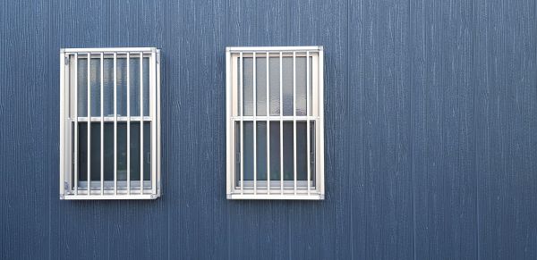 Steel Window Replacement in Argyle