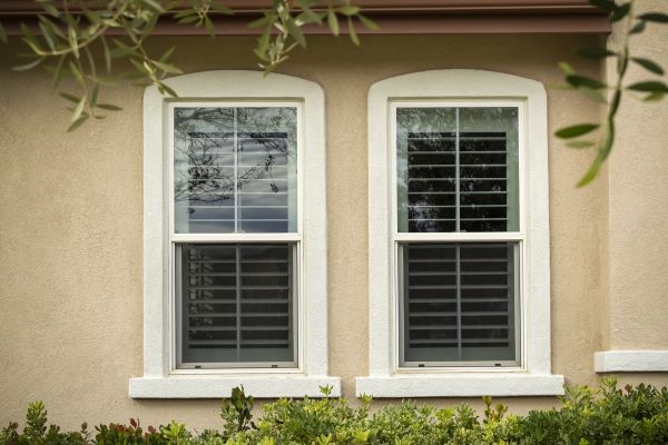 Single Hung Window Replacement in Argyle